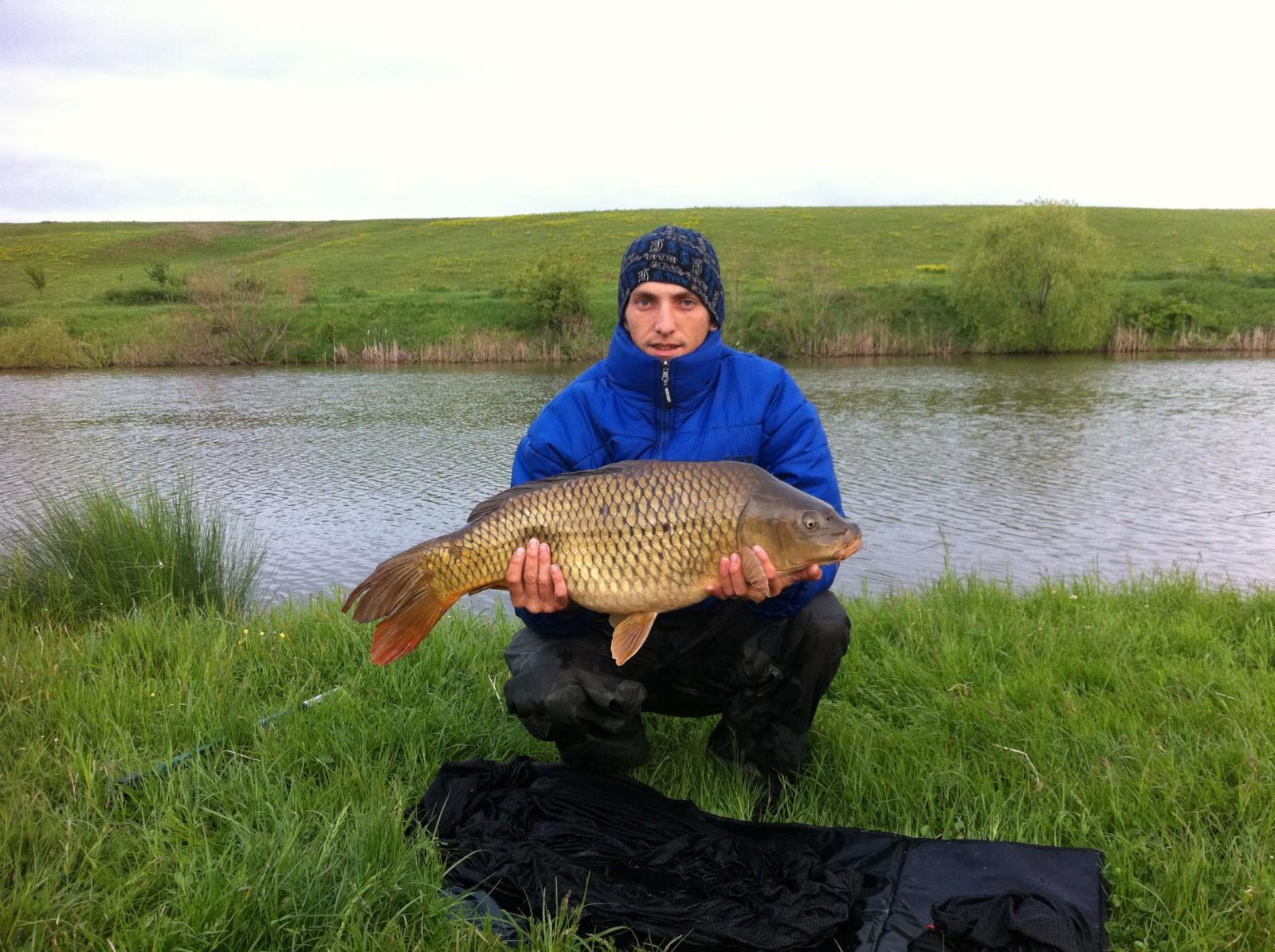 Crapi de Cornesti - 10.1 kg..jpg